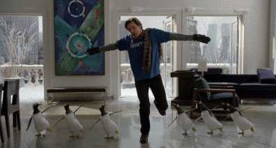 пингвины фф.jpeg