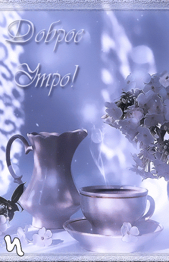 8600c7540e1018c03c8f2d18bbcad3b0