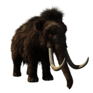 woollymammoth2722882_960_720_yapfiles.ru