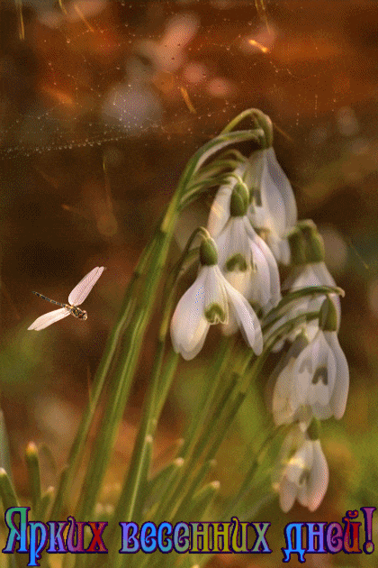 ezgif-1-c97a1efc8dc5 (1)