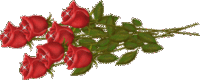 picasion.com_c9f5a77a044007b81490e67744b2de17