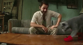 1248951765_kitten-mittens