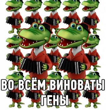 sadsadf341234