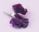 18_5