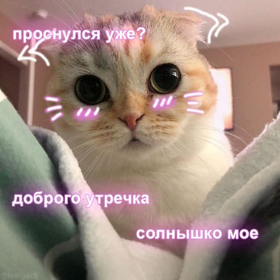 174fe94f2297936796808690d614335f