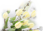 _2_arnusha
