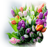 _2_arnusha