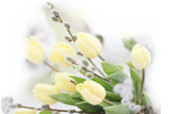 _2_arnusha