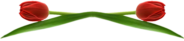 1_6_5