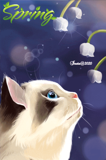 ezgif-6-a38f321236e7 (1)