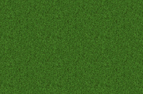grass-plant