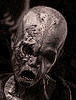 Atrox