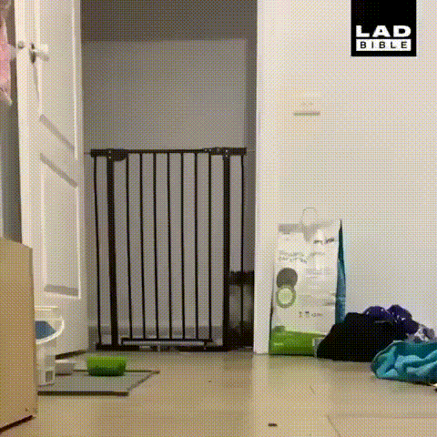 473702319834_mos12