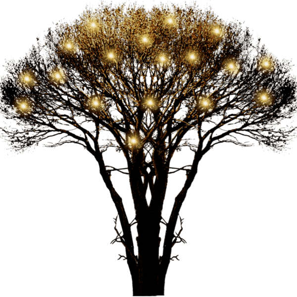 compressed-zq1s