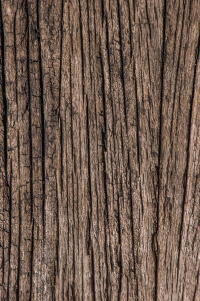 wood-3720805_1280 вертик