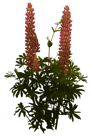 73