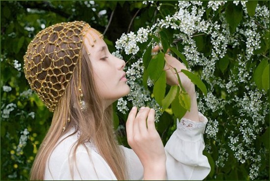 Белая черемуха