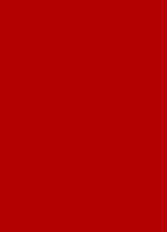 фмсчивмпа