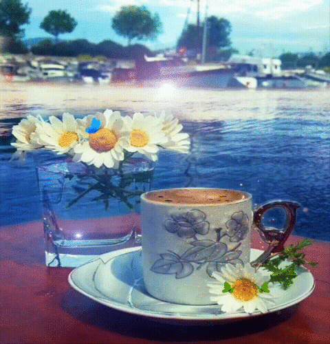 49ec9179b812dbf46190b3ca57937ec4-_1_ (5)