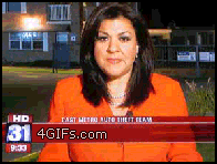 Reporter_videobombed