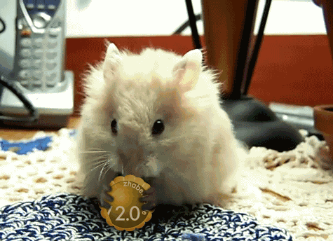 Твердый и битва