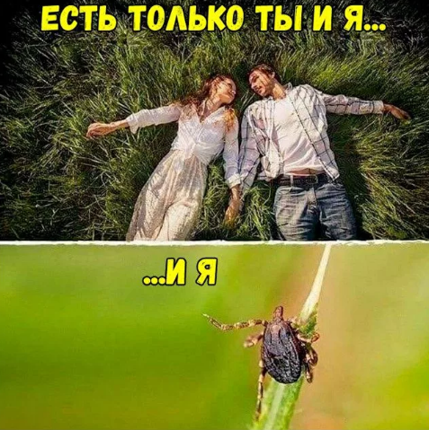 sdvsdvsvvvvvvvvvvvvvvvvvv