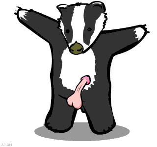 badgermeatspin