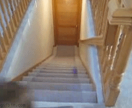 1285842009_mega-gif-izlase-95