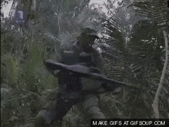AccomplishedGregariousDeer-size_restricted