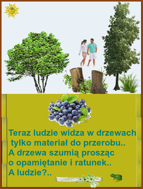 5nsFW0ra2KVY333333333333