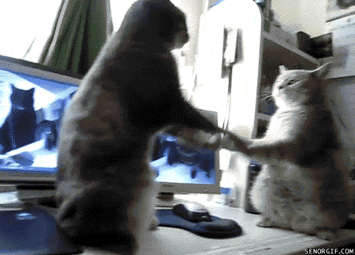 1290723078_downhouse.ru_1290100903_1288942378_00