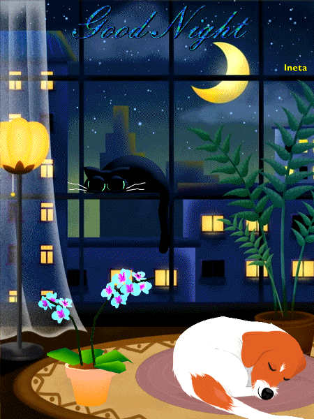 ezgif-6-4f5a5f9883fc (1)