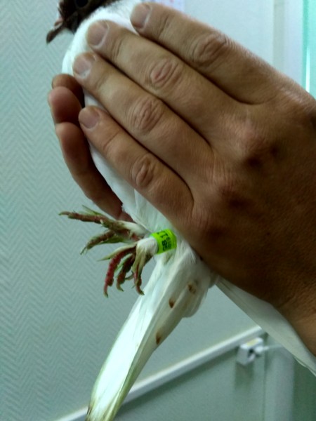 IMG_20200806_201349_HDR