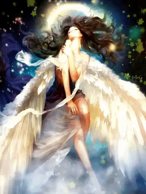 ezgif-2-4c6558ec2c3a