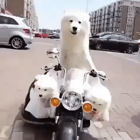 -3