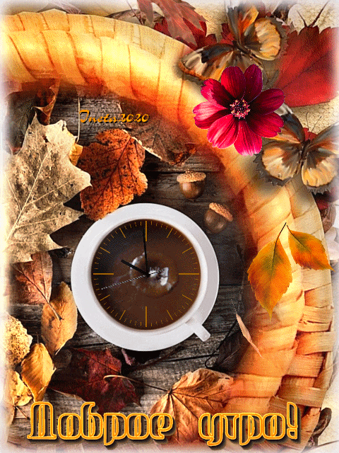 ezgif-2-3397aa81d5ce (1)