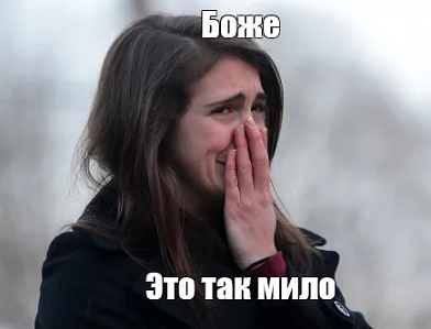 bt657567567657657
