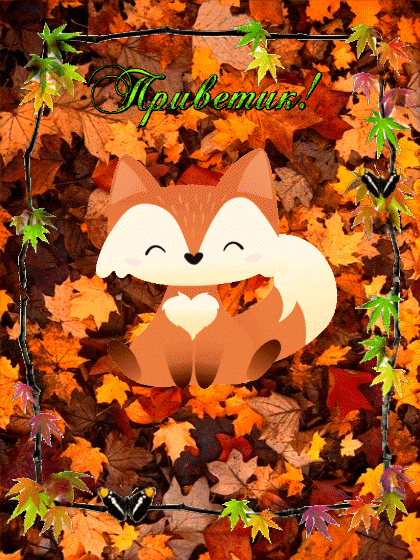 ezgif-2-fc51af996f43 (1)