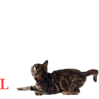 animelubov514_yapfiles.ru