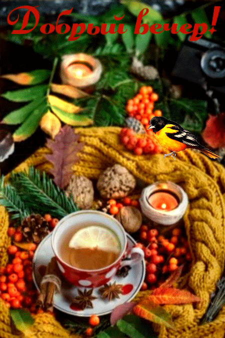 ezgif-3-99a2a40ada36