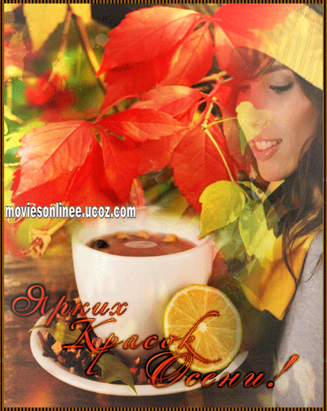 98ed8ce520e0996d9c9a004785cc0b92