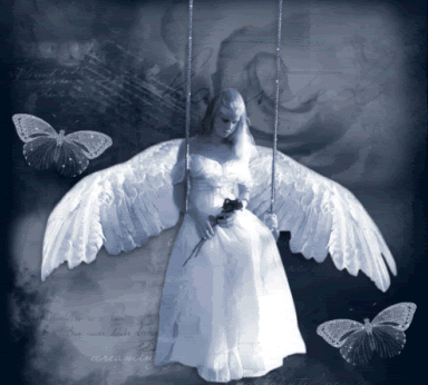 1002_angel-79