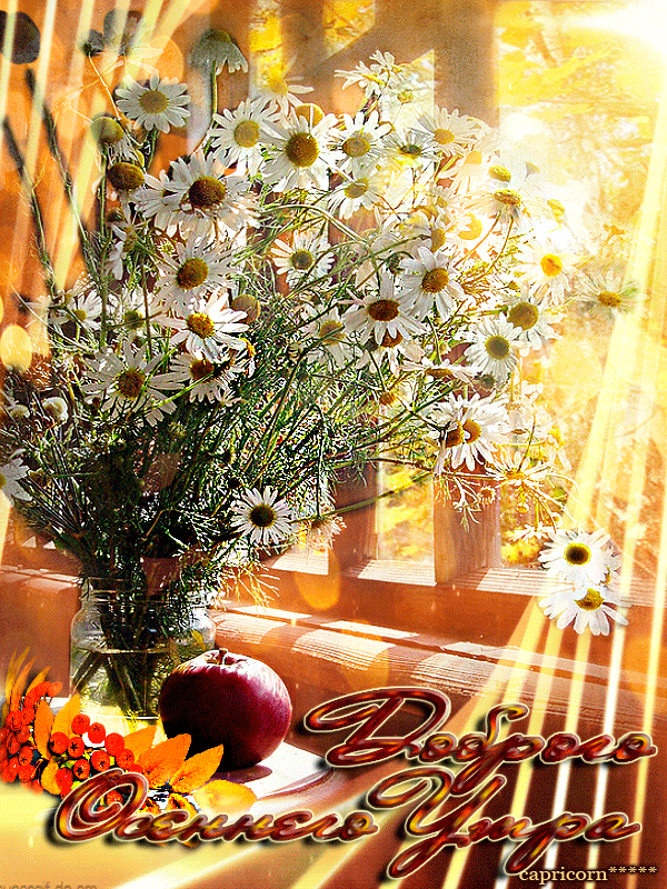 -с-добрым-осенним-утром-доброе-утро-осени-пожелания-2331