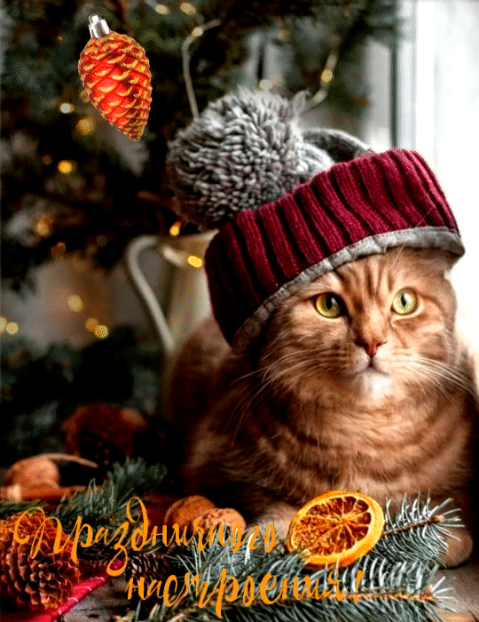 ezgif-3-1ecdef489763