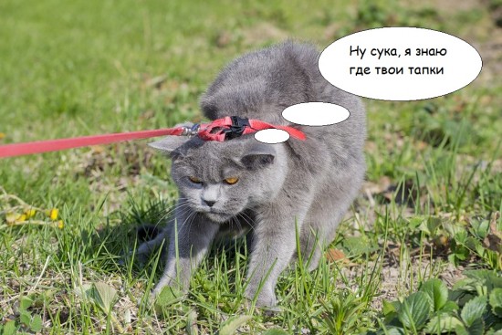 post-3-13052786106604