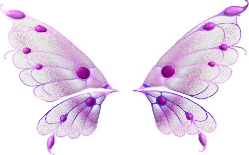 КРЫЛЬЯ ФЕИ 2