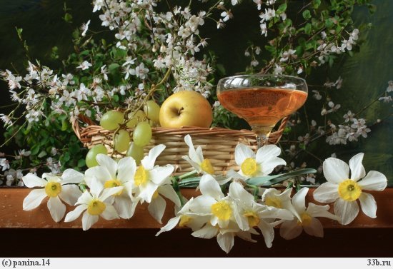 1904081000cf12603d826ad0a7594e560a96b39c6f