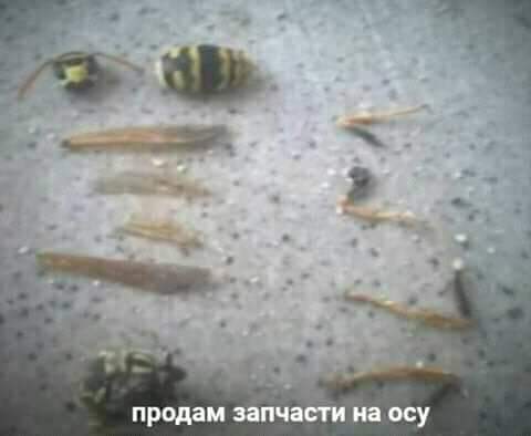 FB_IMG_1609703803191