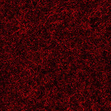 images (1)
