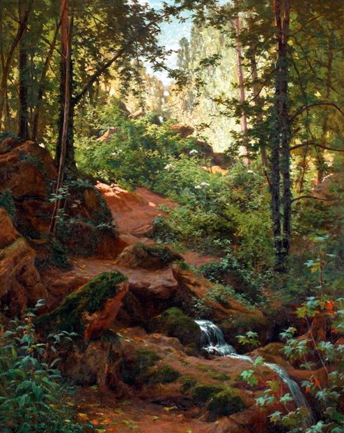 00Woodland interior with brook